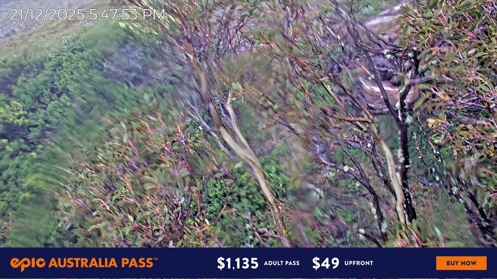 Snow Cams Hotham Alpine Resort